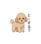 フランクな会話のトイプー②(アプリコット)（個別スタンプ：29）