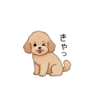 フランクな会話のトイプー②(アプリコット)（個別スタンプ：32）