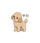 フランクな会話のトイプー②(アプリコット)（個別スタンプ：35）