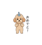 フランクな会話のトイプー②(アプリコット)（個別スタンプ：38）