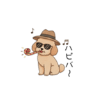 フランクな会話のトイプー②(アプリコット)（個別スタンプ：40）