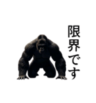 【踊る】イケメンゴリラ（個別スタンプ：19）