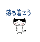 ねこちゃん（毎日（個別スタンプ：13）