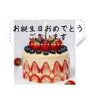 文字入力できる♥誕生日＆クリスマスケーキ（個別スタンプ：4）