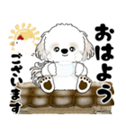 飛び出すシーズー犬 2025 「冬・年末2」9（個別スタンプ：1）