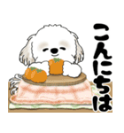 飛び出すシーズー犬 2025 「冬・年末2」9（個別スタンプ：2）