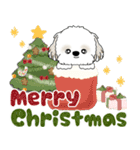 飛び出すシーズー犬 2025 「冬・年末2」9（個別スタンプ：3）