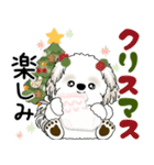 飛び出すシーズー犬 2025 「冬・年末2」9（個別スタンプ：4）
