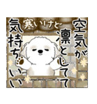 飛び出すシーズー犬 2025 「冬・年末2」9（個別スタンプ：5）