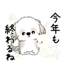 飛び出すシーズー犬 2025 「冬・年末2」9（個別スタンプ：11）