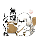 飛び出すシーズー犬 2025 「冬・年末2」9（個別スタンプ：13）