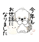 飛び出すシーズー犬 2025 「冬・年末2」9（個別スタンプ：19）