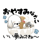 飛び出すシーズー犬 2025 「冬・年末2」9（個別スタンプ：21）