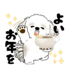 飛び出すシーズー犬 2025 「冬・年末2」9（個別スタンプ：22）