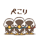 ゆるペンギンず♡毎日使えるちょっと適当（個別スタンプ：12）
