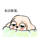 ゆるだる犬【太郎】5.5（個別スタンプ：3）