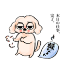 ゆるだる犬【太郎】5.5（個別スタンプ：17）
