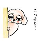 ゆるだる犬【太郎】5.5（個別スタンプ：21）