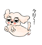 ゆるだる犬【太郎】5.5（個別スタンプ：24）