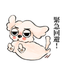 ゆるだる犬【太郎】5.5（個別スタンプ：25）