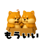 ずっと使える♡箱から双子の柴犬（個別スタンプ：3）