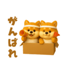 ずっと使える♡箱から双子の柴犬（個別スタンプ：6）