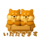 ずっと使える♡箱から双子の柴犬（個別スタンプ：7）