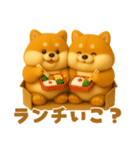 ずっと使える♡箱から双子の柴犬（個別スタンプ：11）