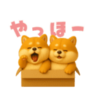 ずっと使える♡箱から双子の柴犬（個別スタンプ：15）