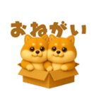 ずっと使える♡箱から双子の柴犬（個別スタンプ：16）
