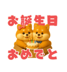 ずっと使える♡箱から双子の柴犬（個別スタンプ：17）