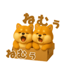 ずっと使える♡箱から双子の柴犬（個別スタンプ：19）