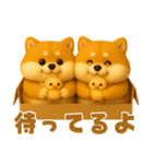 ずっと使える♡箱から双子の柴犬（個別スタンプ：20）