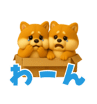 ずっと使える♡箱から双子の柴犬（個別スタンプ：24）