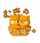 ずっと使える♡箱から双子の柴犬（個別スタンプ：26）