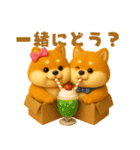 ずっと使える♡箱から双子の柴犬（個別スタンプ：27）