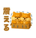 ずっと使える♡箱から双子の柴犬（個別スタンプ：28）