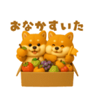 ずっと使える♡箱から双子の柴犬（個別スタンプ：31）
