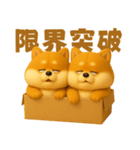 ずっと使える♡箱から双子の柴犬（個別スタンプ：35）