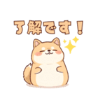 使いやすい！もちふわ柴犬スタンプ（個別スタンプ：3）