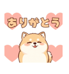 使いやすい！もちふわ柴犬スタンプ（個別スタンプ：4）