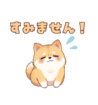 使いやすい！もちふわ柴犬スタンプ（個別スタンプ：8）