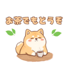 使いやすい！もちふわ柴犬スタンプ（個別スタンプ：16）