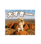 動く癒し柴犬の敬語スタンプ（個別スタンプ：24）