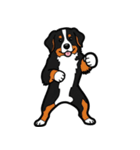 バーニーズマウンテンドッグのスタンプ2（個別スタンプ：2）