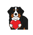 バーニーズマウンテンドッグのスタンプ2（個別スタンプ：9）