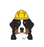 バーニーズマウンテンドッグのスタンプ2（個別スタンプ：18）