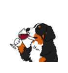 バーニーズマウンテンドッグのスタンプ2（個別スタンプ：20）