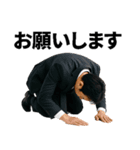 挿入を懇願するスタンプ‼（個別スタンプ：4）