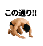 挿入を懇願するスタンプ‼（個別スタンプ：5）